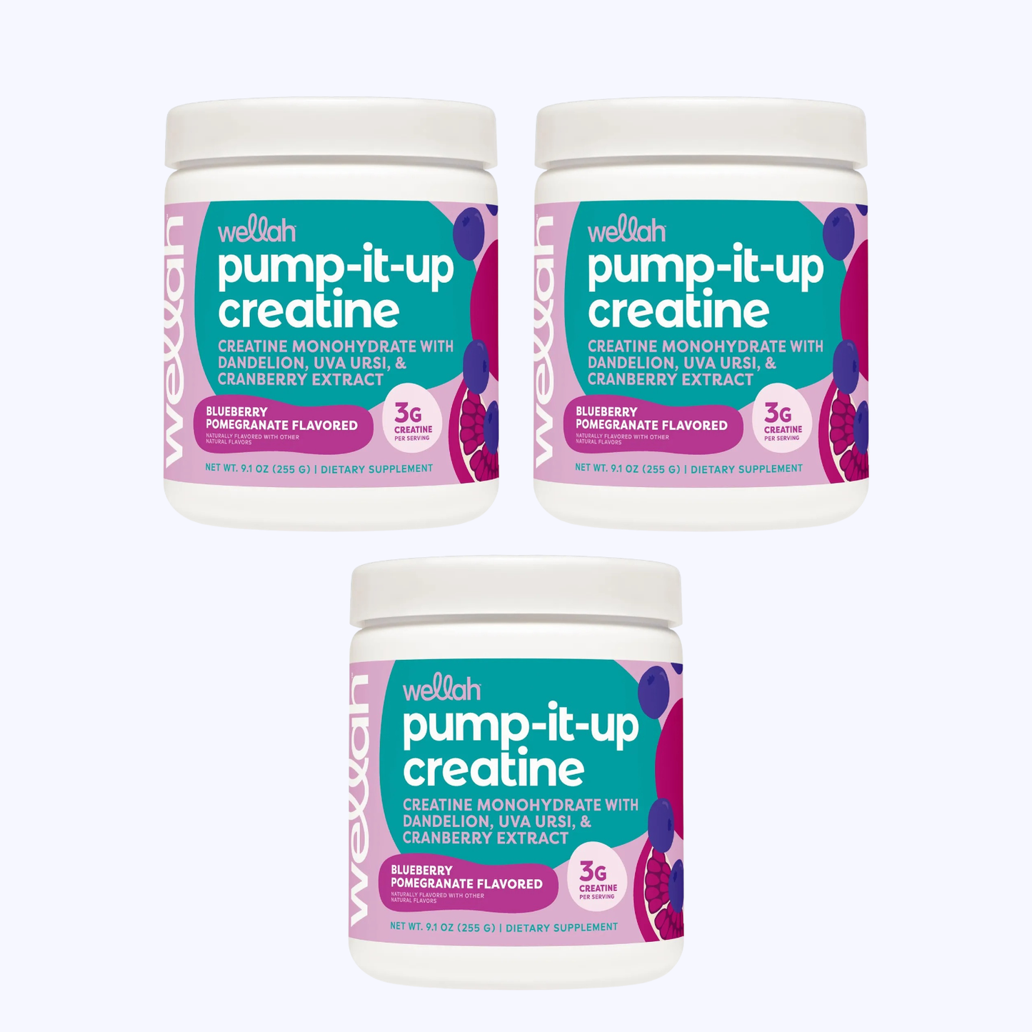 Creatina monohidratada Pump It Up – Wellah