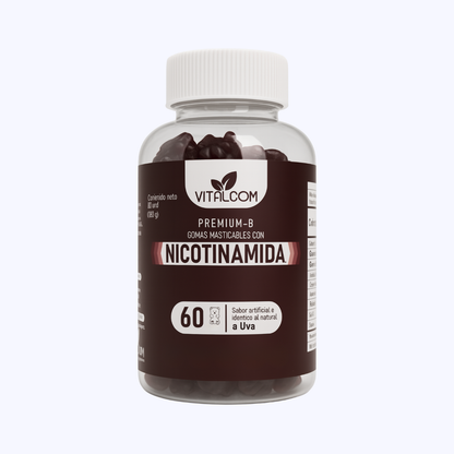 GOMAS NICOTINAMIDA VITALCOM X60