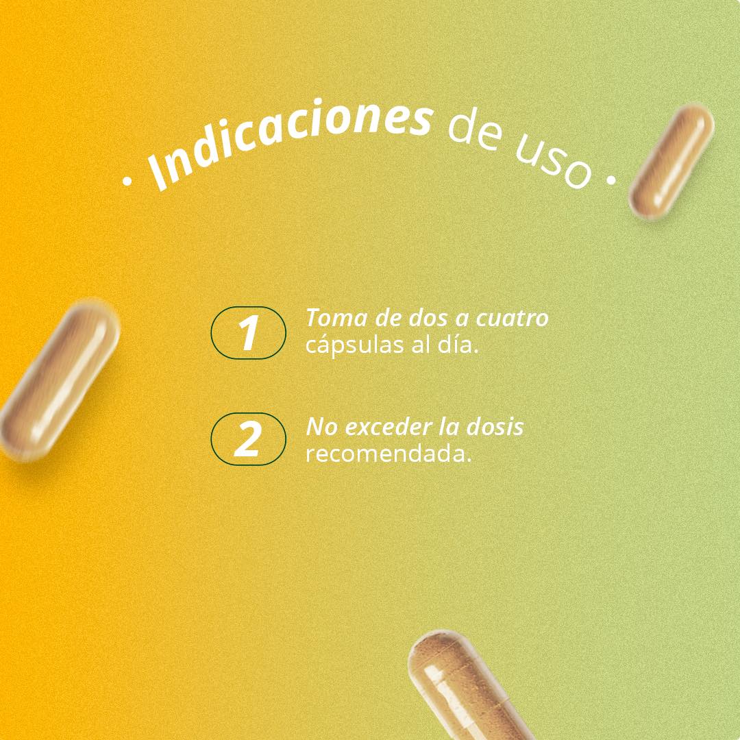 Ashwagandha 500 mg – 60 Cápsulas | Herbal & Health