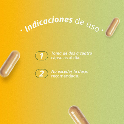 Ashwagandha 500 mg – 60 Cápsulas | Herbal & Health