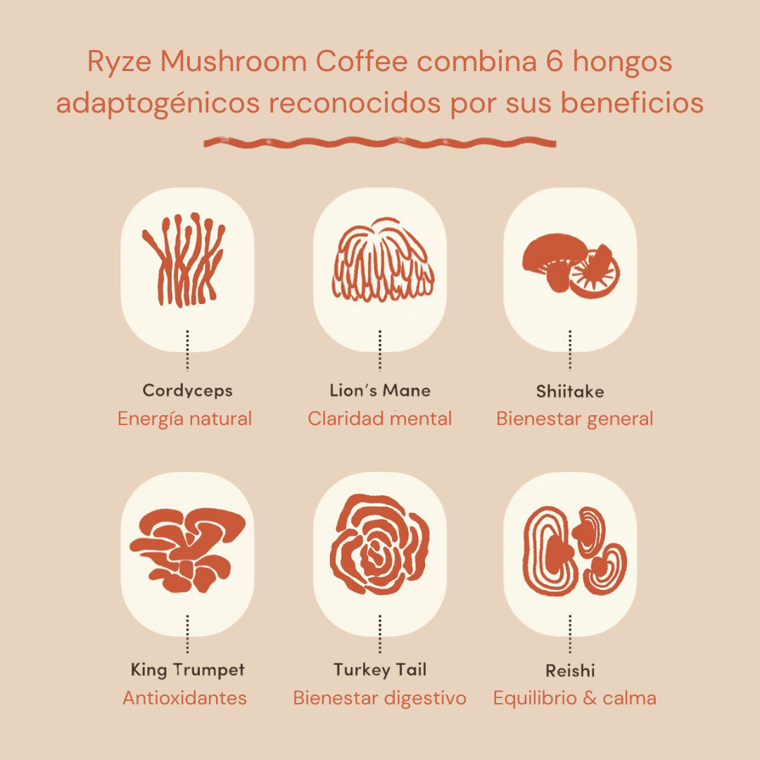 Kit Café de Hongos Ryze