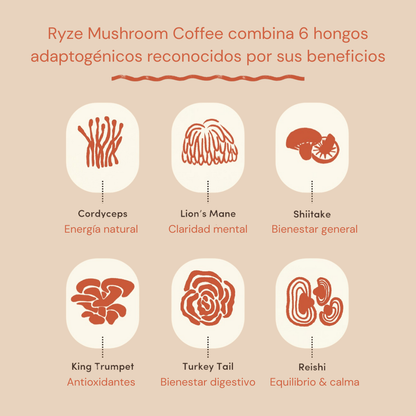 Kit Café de Hongos Ryze