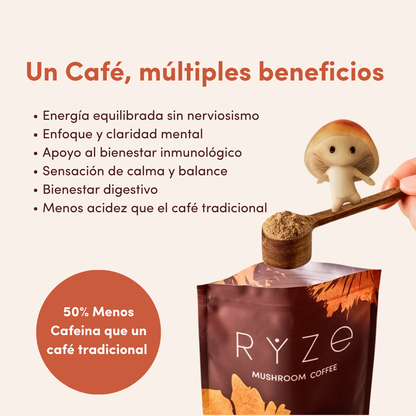Kit Café de Hongos Ryze