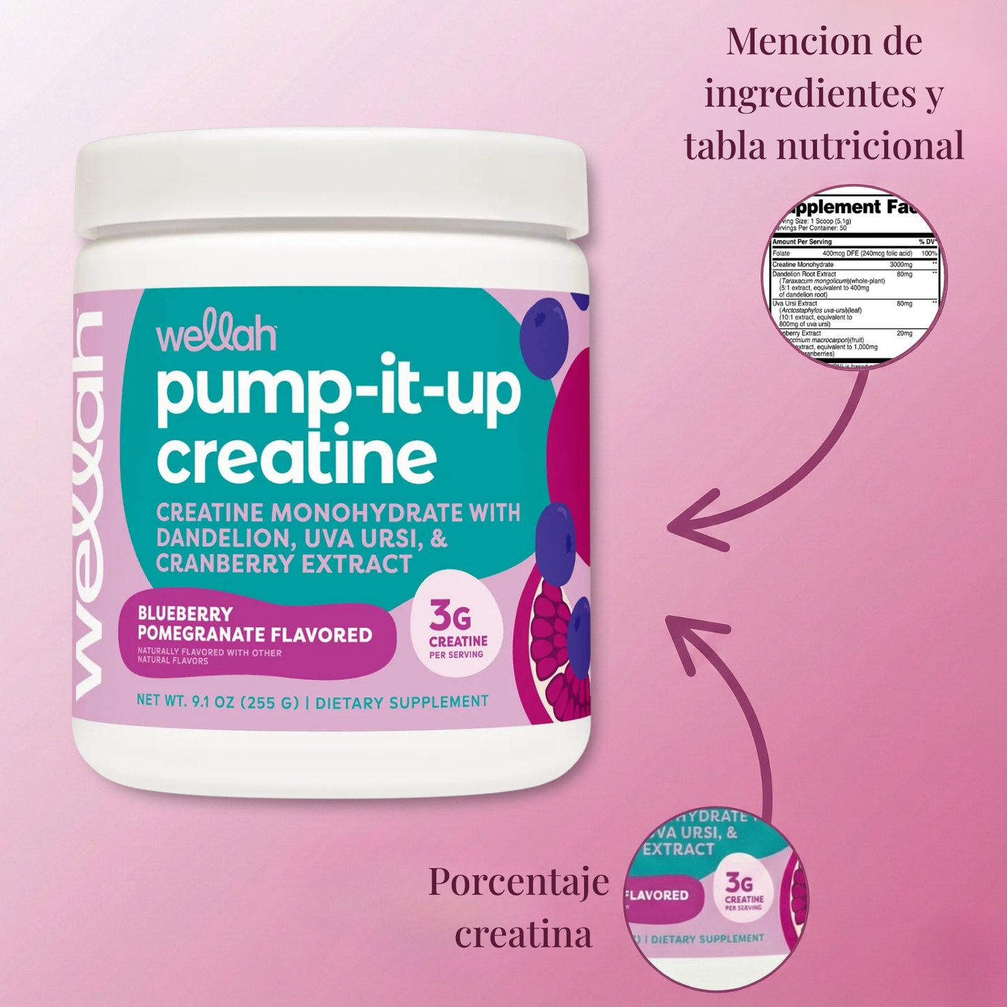 Creatina monohidratada Pump It Up – Wellah