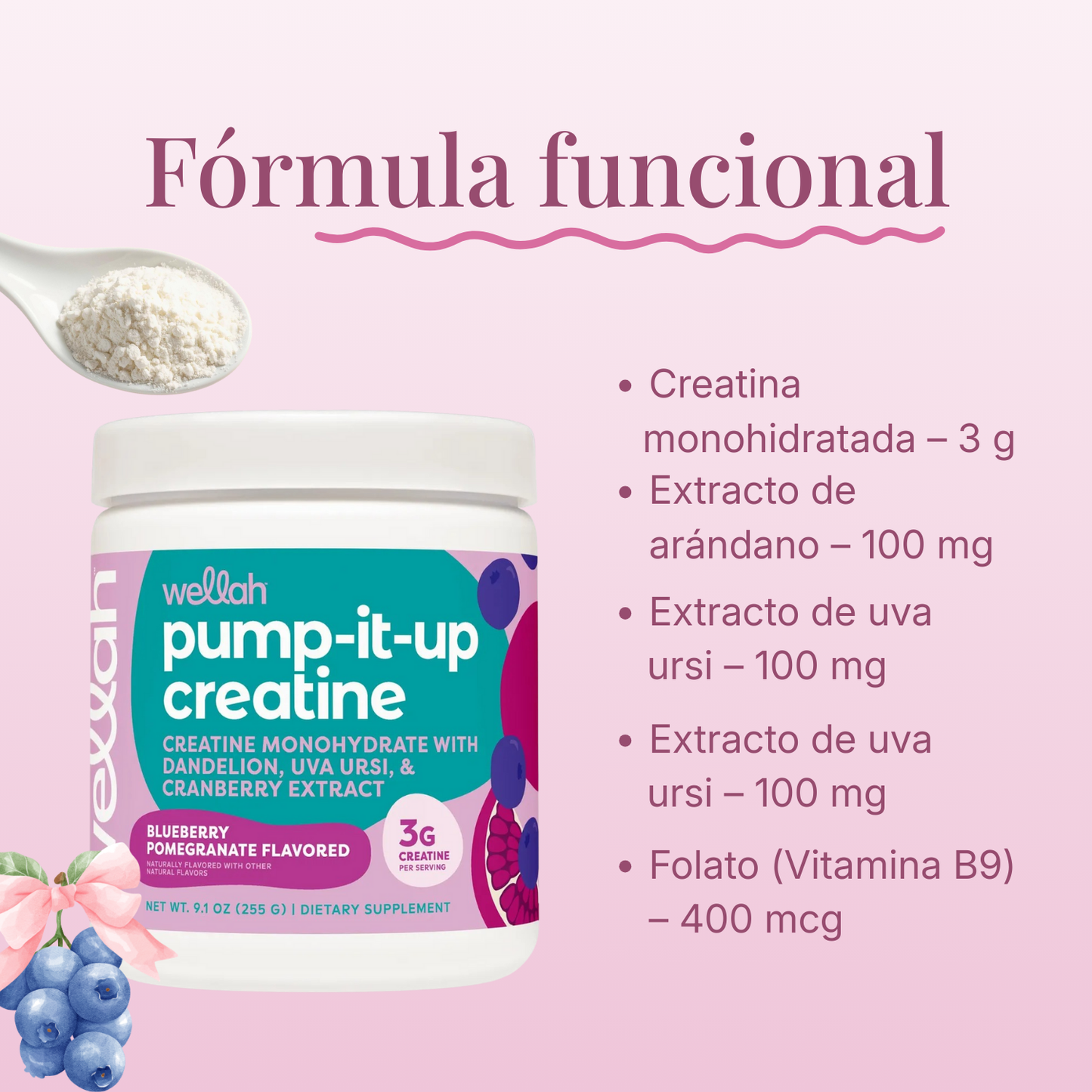 Creatina monohidratada Pump It Up – Wellah