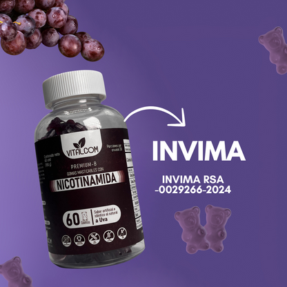 GOMAS NICOTINAMIDA VITALCOM X60