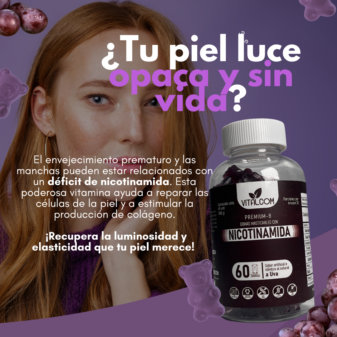 GOMAS NICOTINAMIDA VITALCOM X60